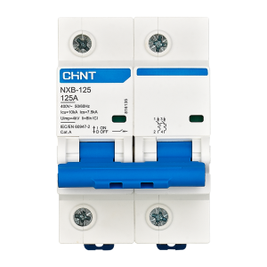 CHINT NXB-125 Miniature Circuit Breakers (MCB) 10kA - 2Pole